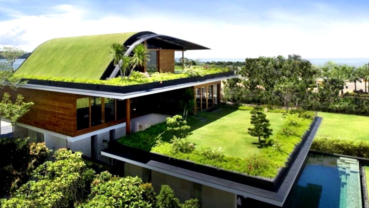 Green Plant Roofing - Roofers LLC